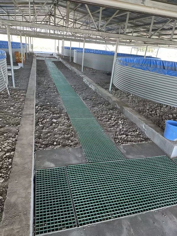 ปลาฟาร์ม FRP Grating Walkway หรือแพลตฟอร์มสามารถปรับแต่งสําหรับขนาดและสี