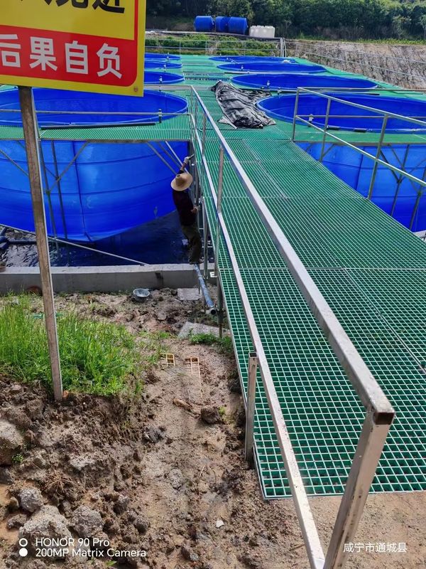 ปลาฟาร์ม FRP Grating Walkway หรือแพลตฟอร์มสามารถปรับแต่งสําหรับขนาดและสี